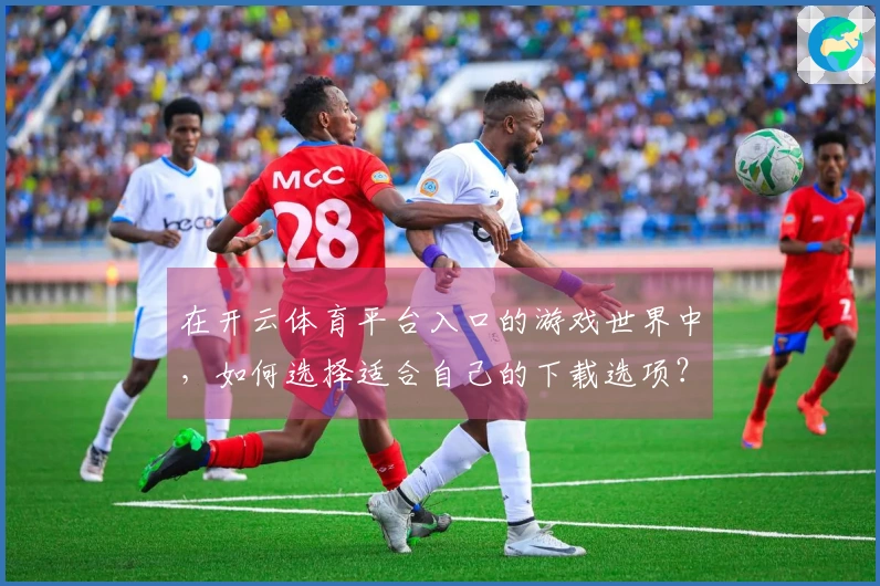 在开云体育平台入口的游戏世界中，如何选择适合自己的下载选项？